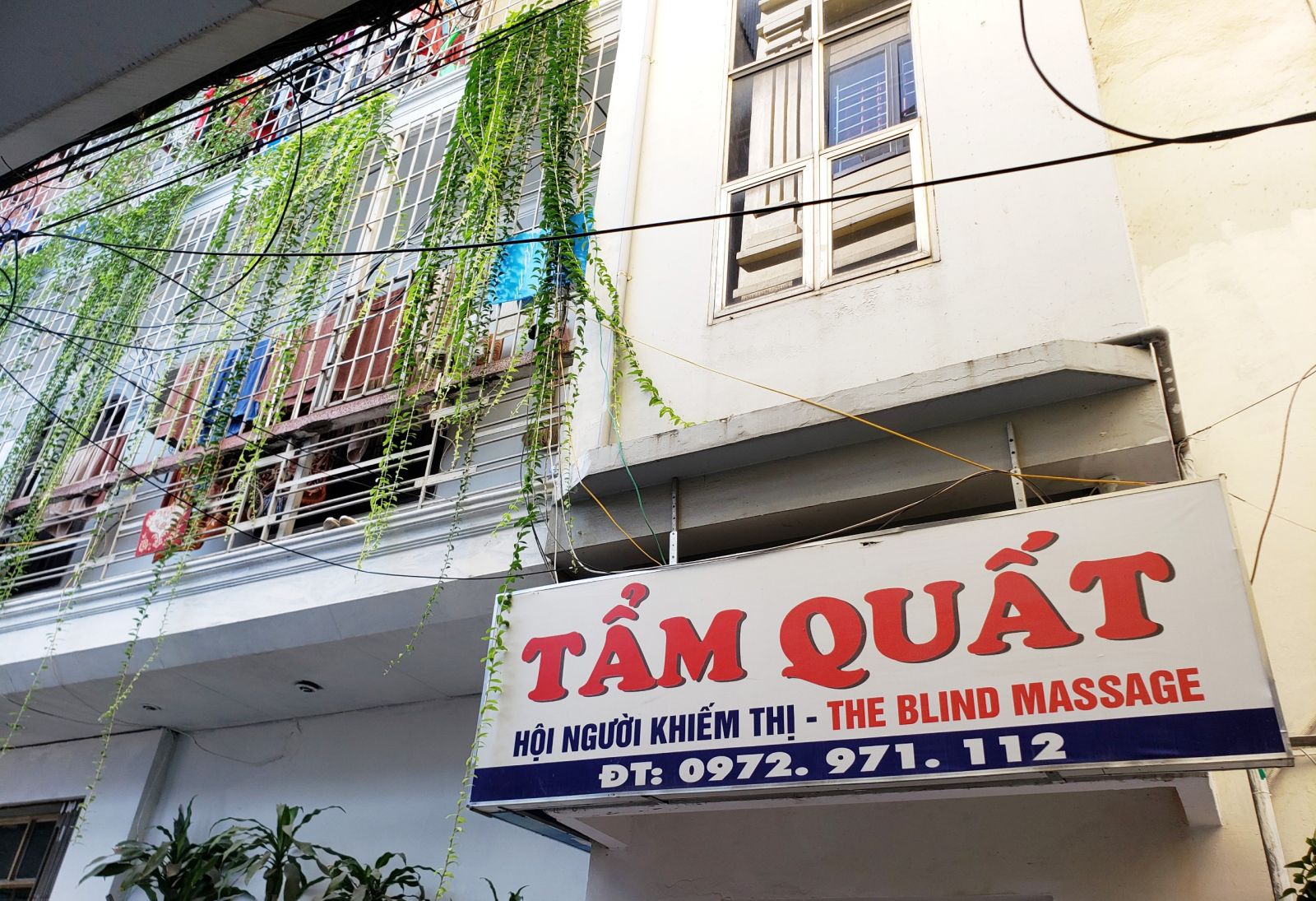 tẩm quất